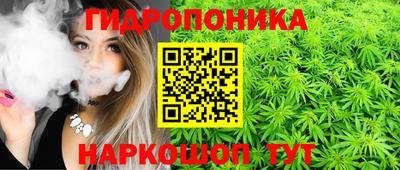 крисы Заводоуковск