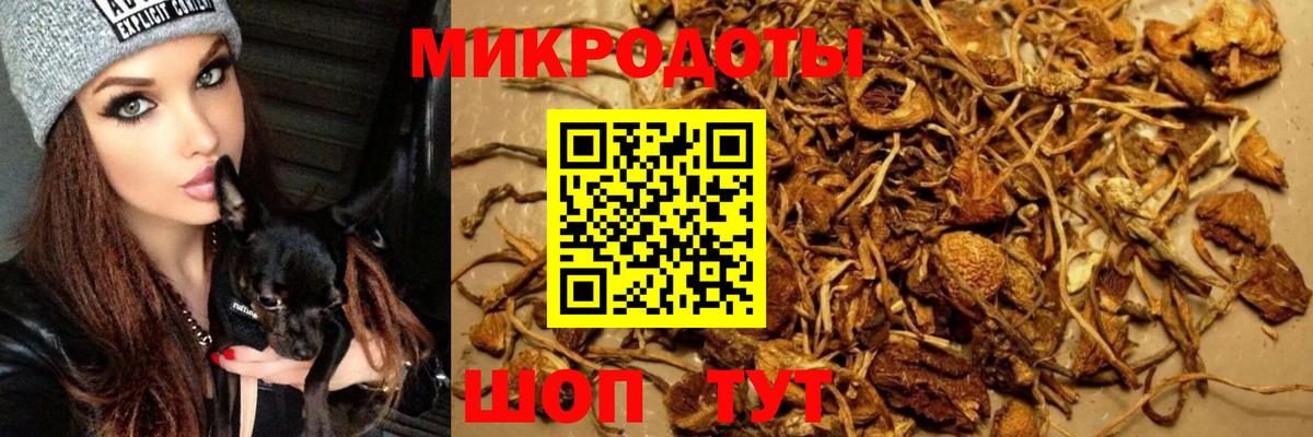 Уварово  Псилоцибиновые грибы мицелий  Галлюциногенные грибы мухоморы  Вход с VPN 